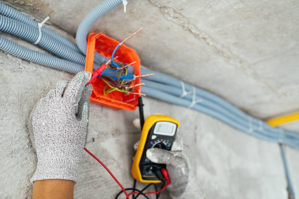 Best Local Electrician Companies  in Emmon, AK